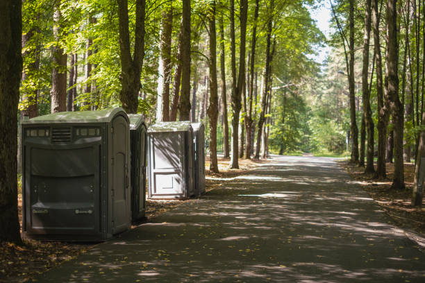 Best Porta potty rental near me  in Roundup, MT
